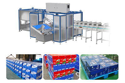 Formadora de cajas wrap around YCZX60
