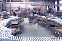 Paletizador robótico